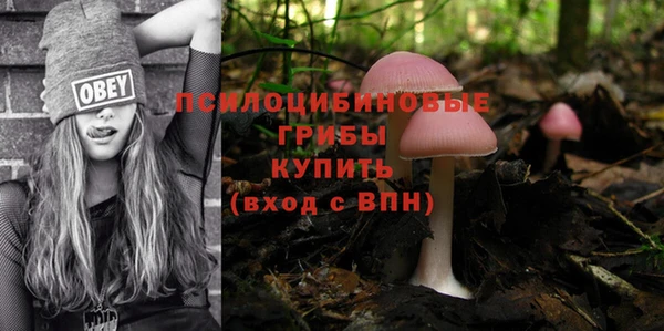 твердый Алзамай