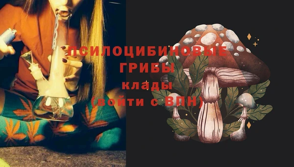 твердый Алзамай