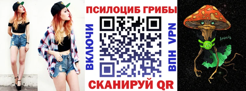 наркошоп  Байкальск  Галлюциногенные грибы Psilocybine cubensis 